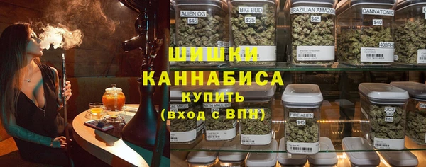 мет Ладушкин