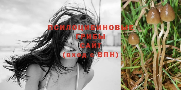 альфа пвп Краснотурьинск