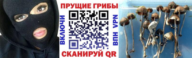 Галлюциногенные грибы мухоморы что такое Льгов